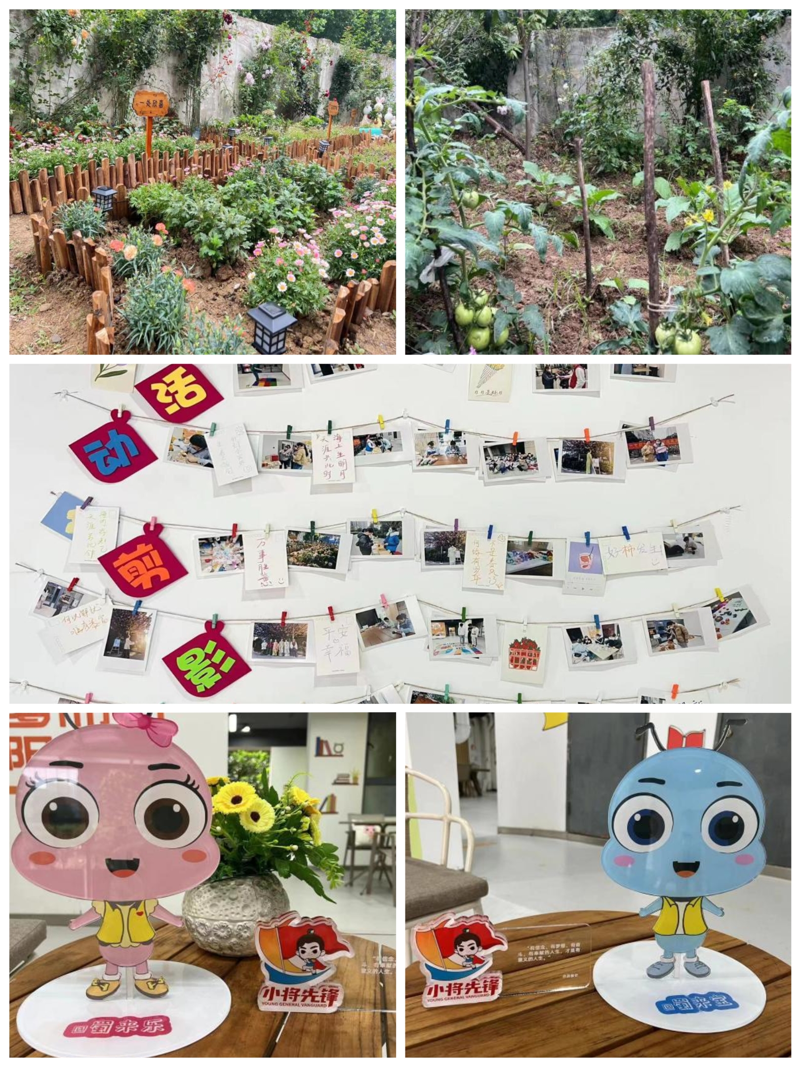 K8凯发集团(中国)公司官网