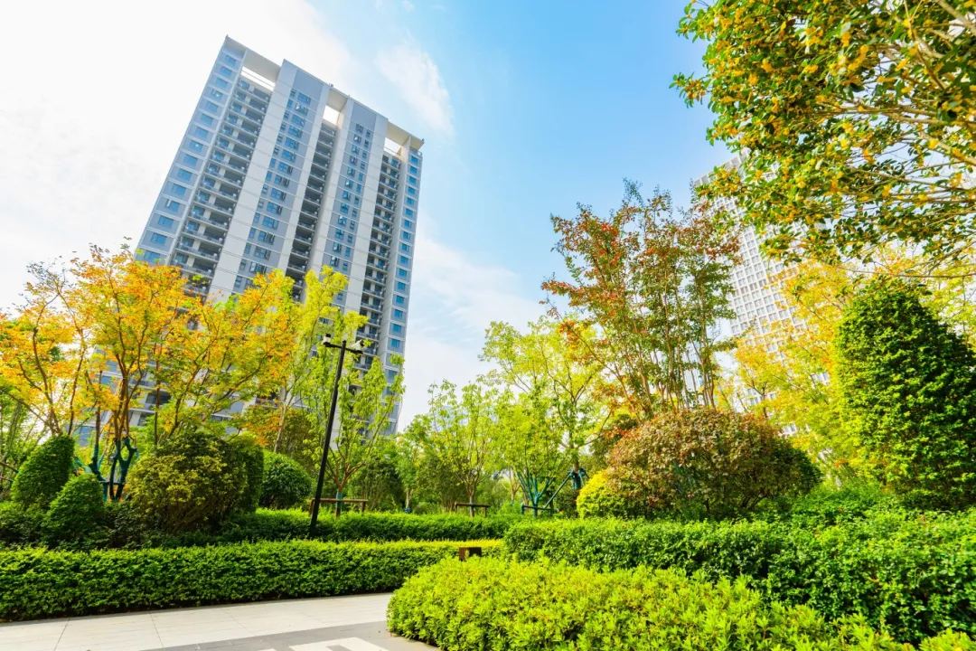 K8凯发集团(中国)公司官网